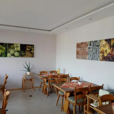 Panorama-hotel * Graach